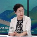 Wang Xiaoxia: Devemos sempre respeitar a autoridade das Nações Unidas